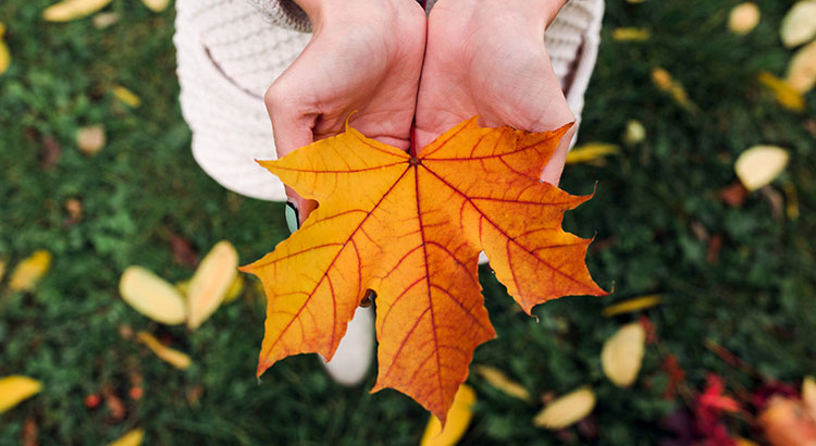 5 Reasons to Sell This Fall | MyKCM