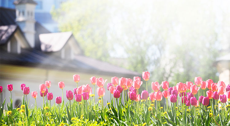 The Housing Market Will “Spring Forward” This Year! | MyKCM
