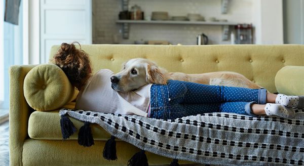 Why Pet-Friendly Homes Are in High Demand | MyKCM