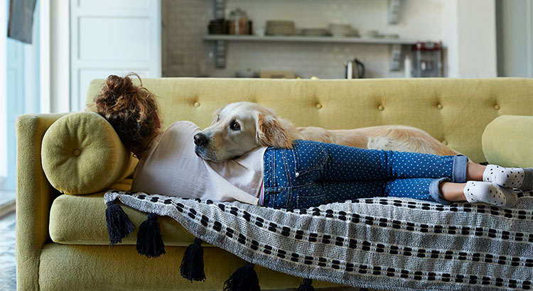 Pet-Friendly Homes Are in High Demand