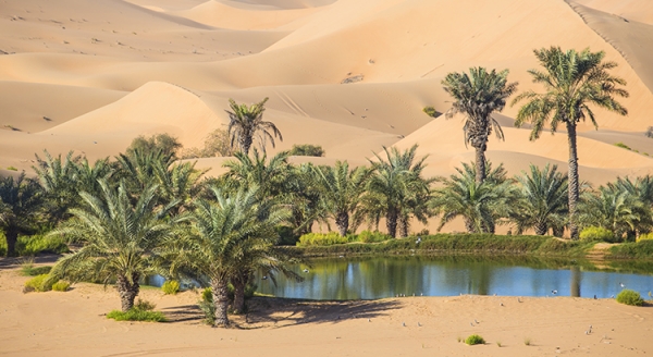 Your House Could Be the Oasis in an Inventory Desert | MyKCM